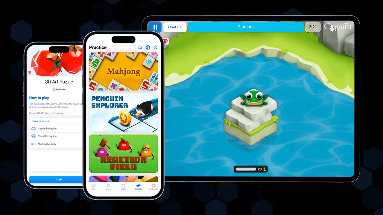 CogniFit Software Developer